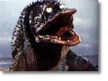 KUJIRA1