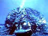 SIO