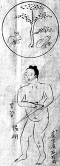 V